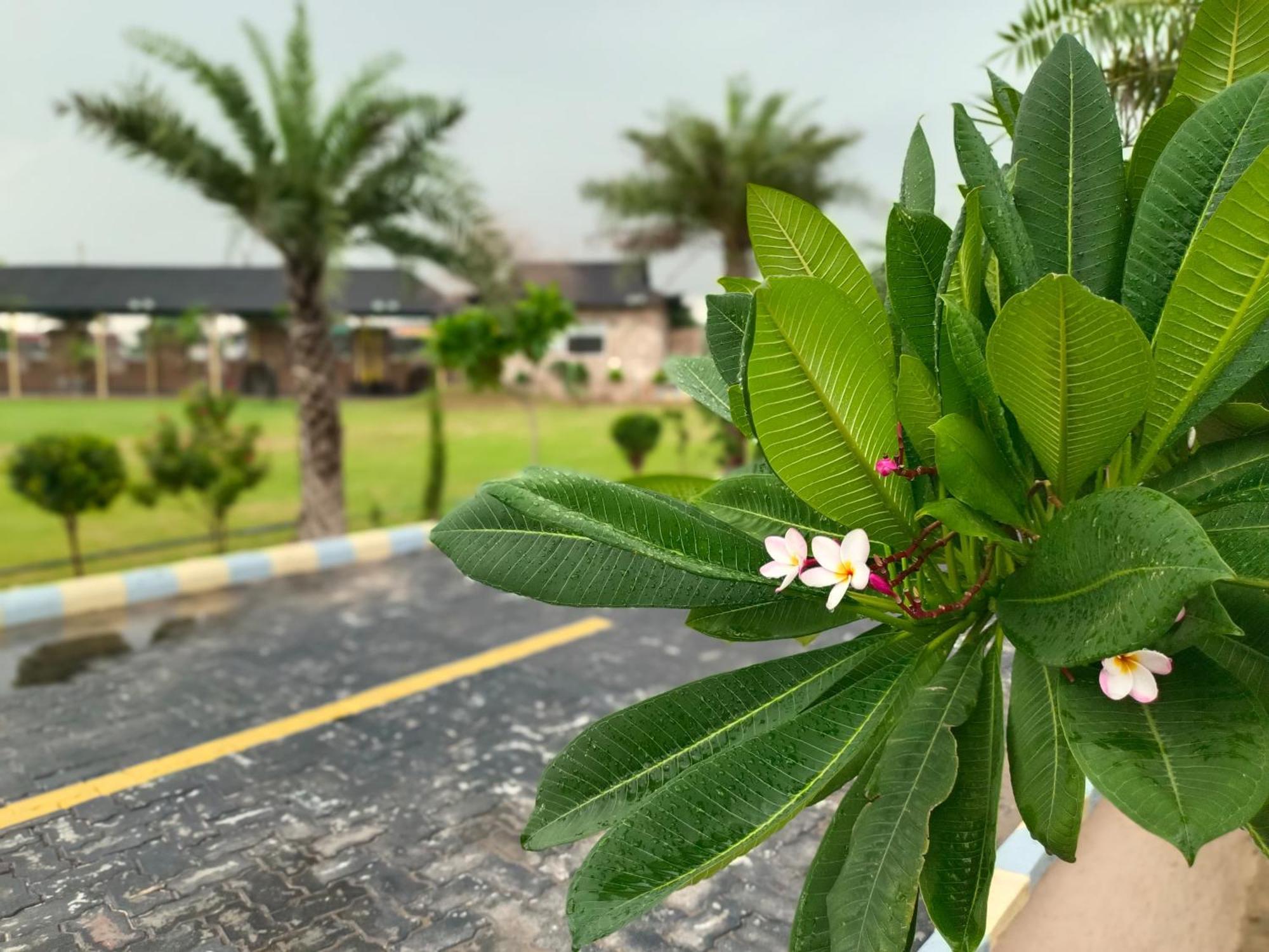 Royal Rajasthan Resort Sikar Zewnętrze zdjęcie